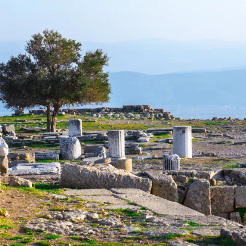 Day 2 (Sea of Galilee- Capernaum- Bethlehem)