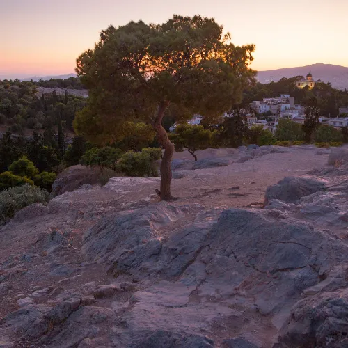 Day 3 (Calvary- Gethsemane- Bethlehem)