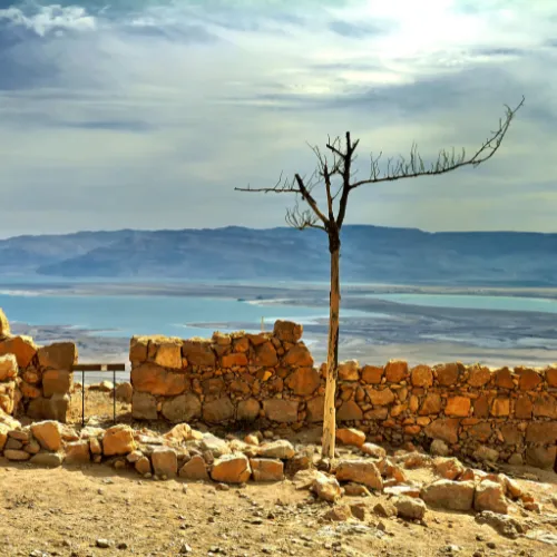 Day 4 (Old city of Jerusalem-Jericho- Dead Sea)