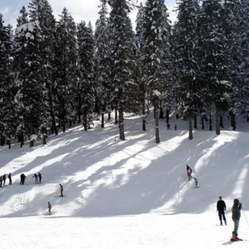 Kaza to Narkanda (2)