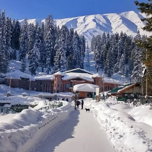 Gulmarg – Srinagar